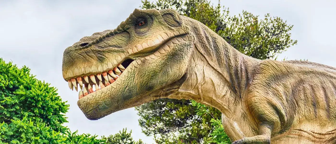 From Film to Reality: Hawaii's Epic Jurassic Park Locations