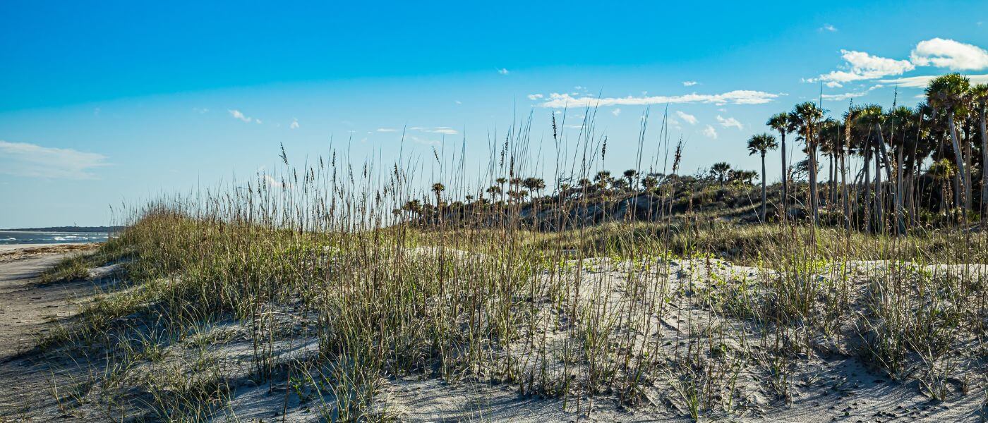Best Time to Visit Amelia Island: A Year-Round Travel Guide