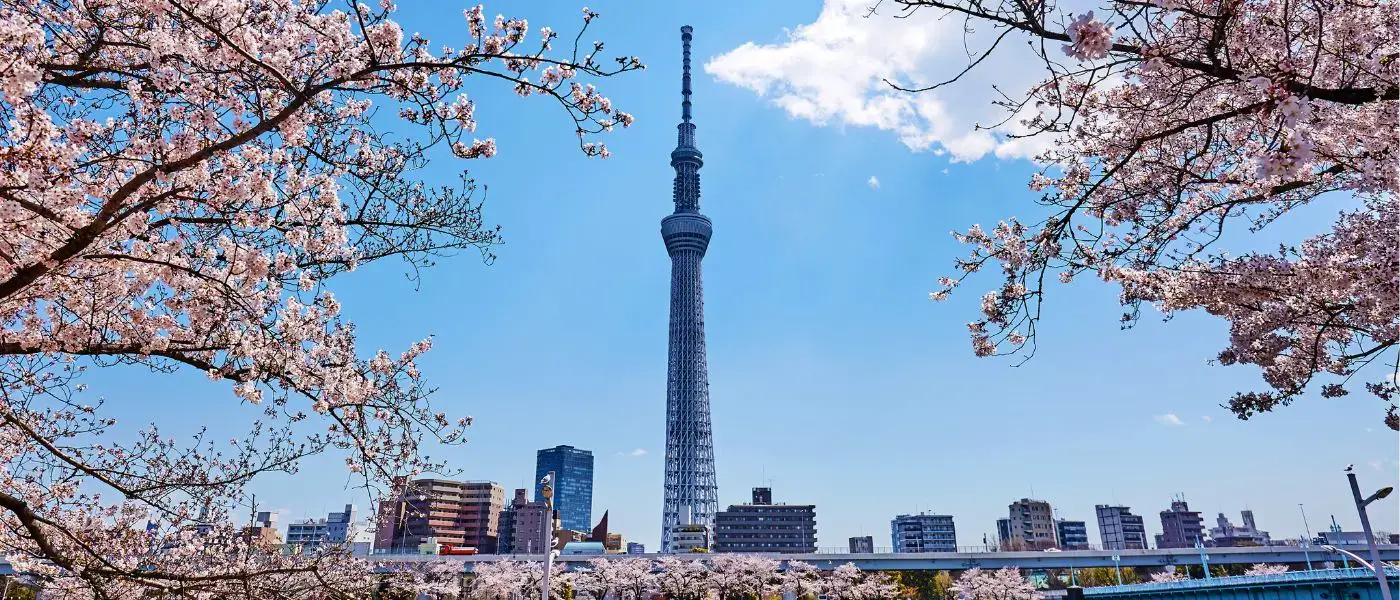 Unlock Tokyo: A Guide to the City's Trendiest Districts