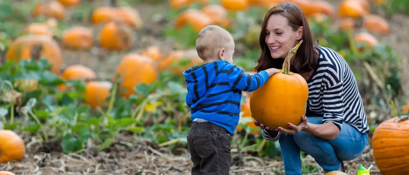 Pumpkin Patches to Visit on Vancouver Island  Autumn 2024
