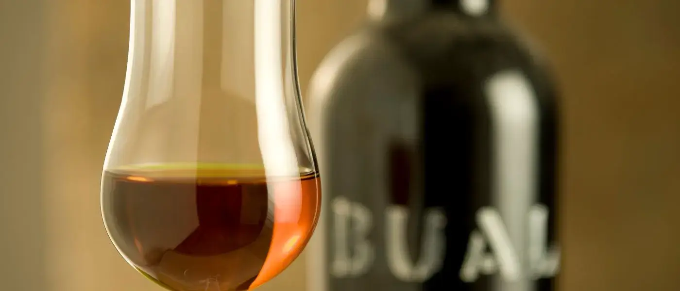 Madeira Wine: Best Places to Sip, Savor, and Celebrate on the Island