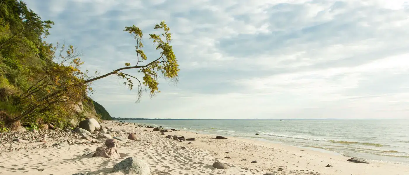 Explore Poland's Island Gem: 50 FAQs About Wolin