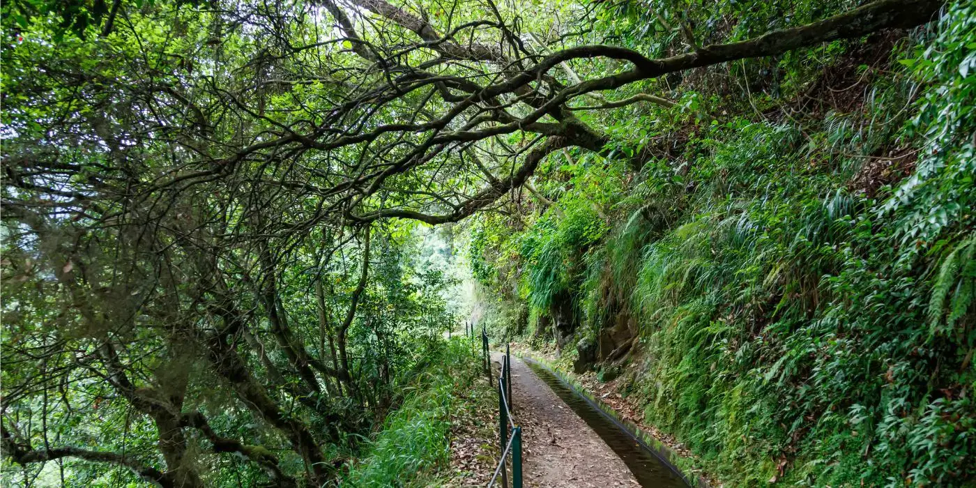 Exploring Madeira: Top Hiking Trails for Adventure Seekers