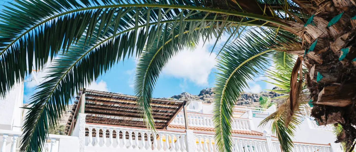 Where to Stay in Tenerife: The Ultimate Resort List for 2025