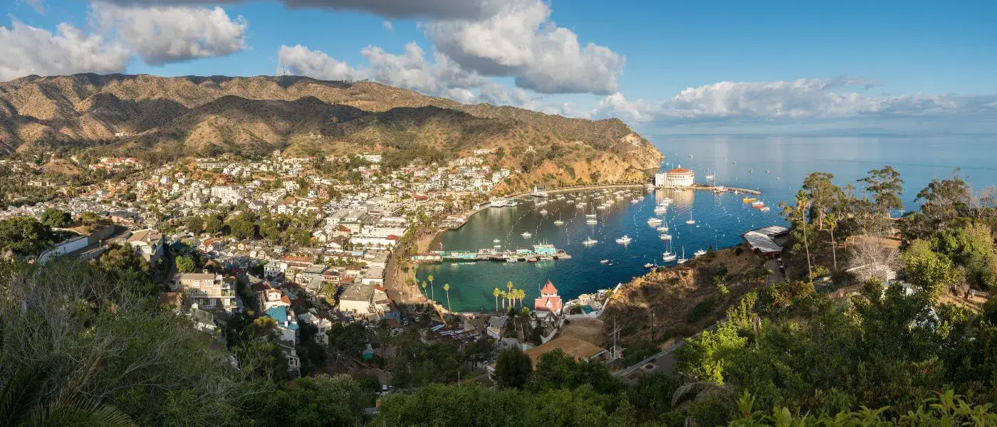 Your Guide to Catalina Island: From Avalon to Adventure