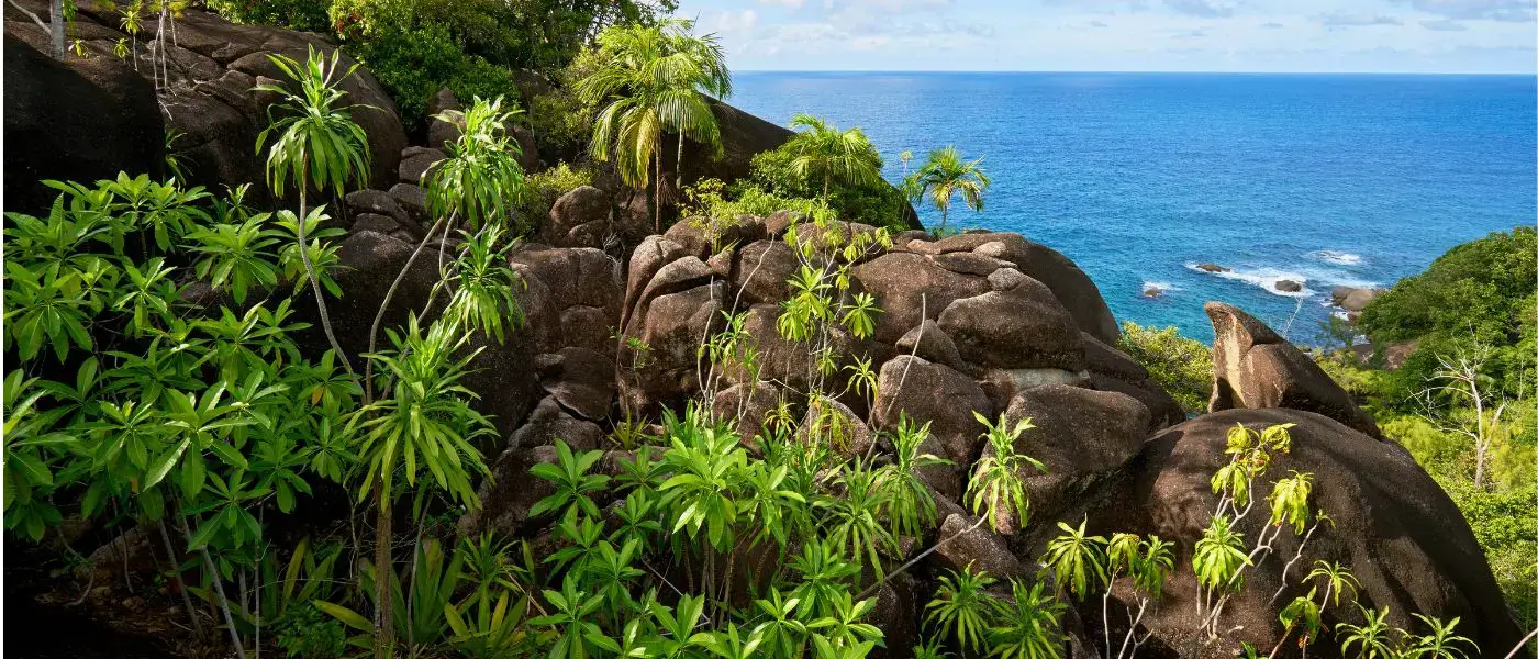Adventure Awaits: Trek the Untamed Trails of Seychelles