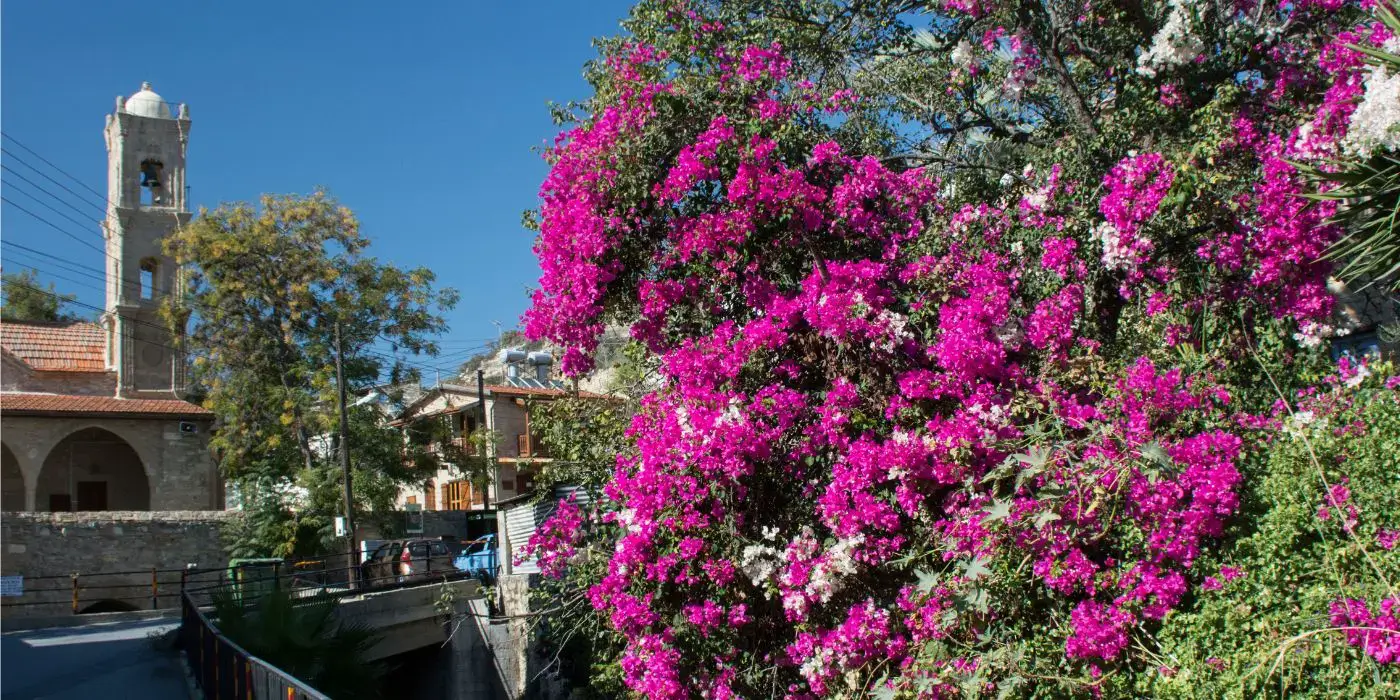 Experience Authentic Cyprus: The Best Villages to Stay and Explore