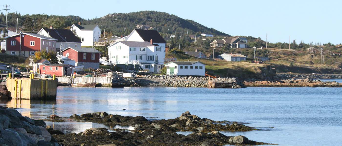 When to Visit Newfoundland: Plan the Perfect Trip