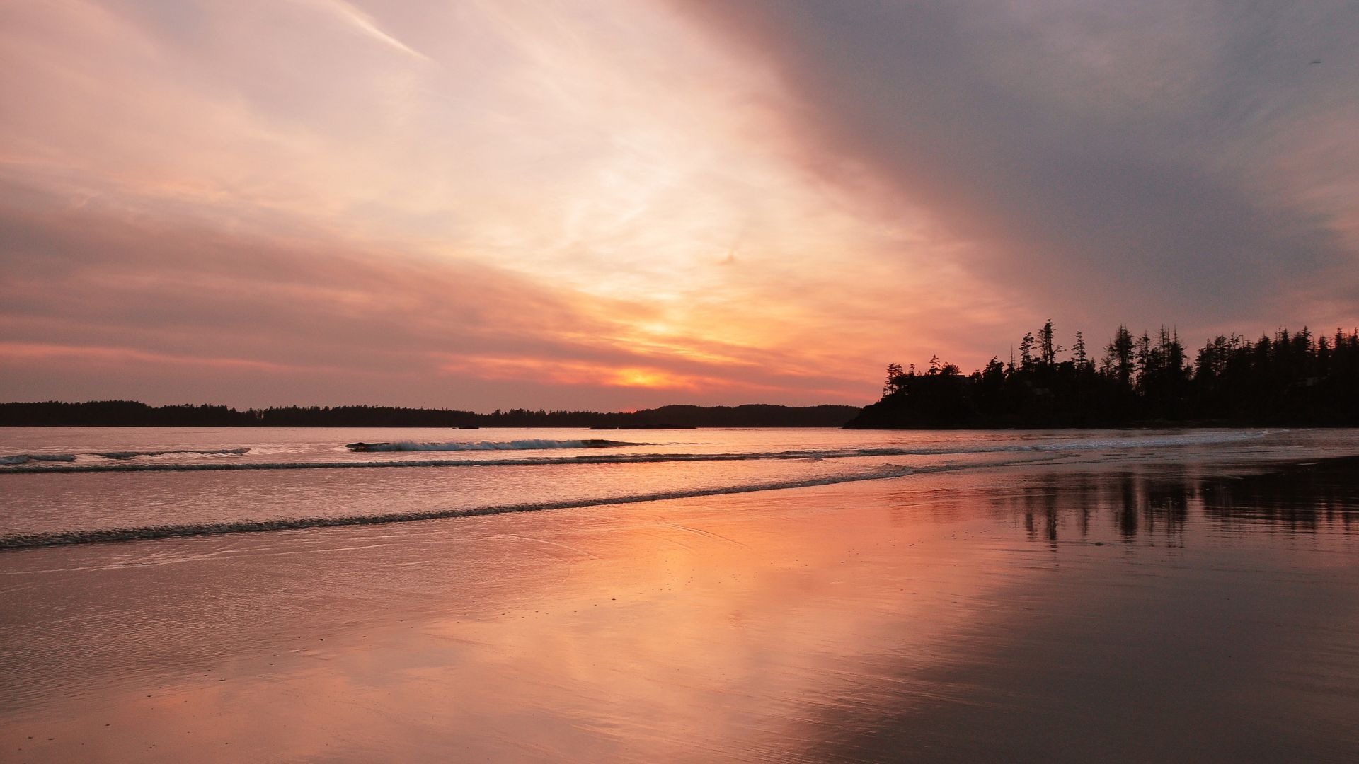 Explore Tofino: Top Activities and Attractions in BC's Coastal Gem