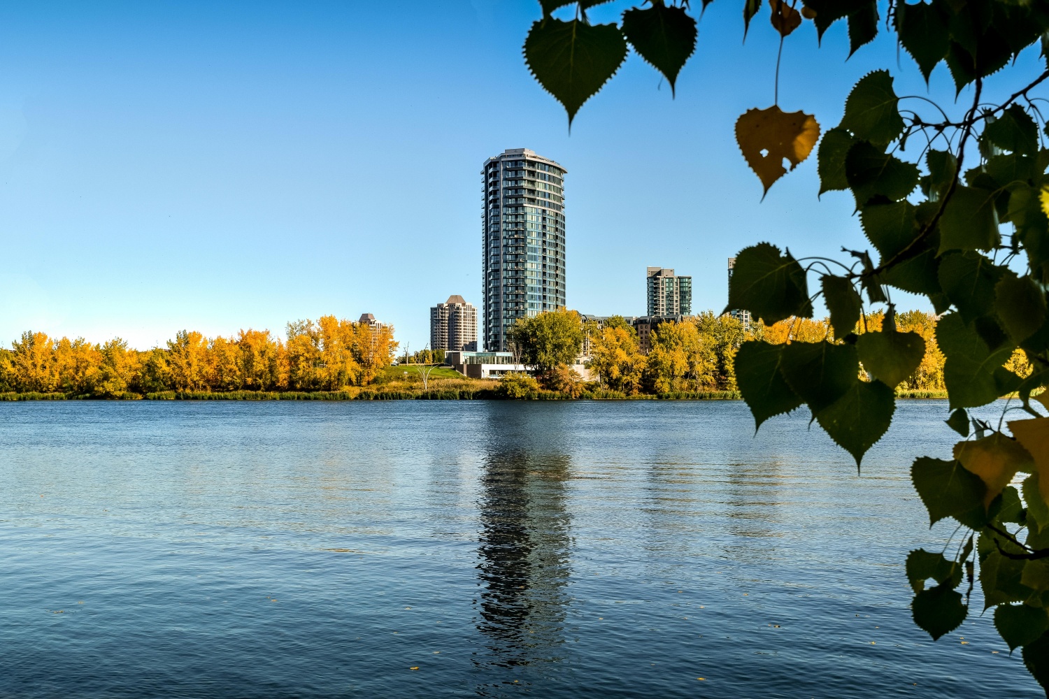 Montreal For Free: Museums, Walking Areas, Parks, Kid-Friendly Activities, and Festivals