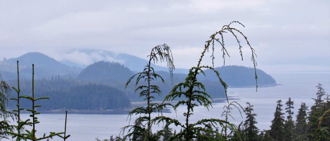 Chichagof Island