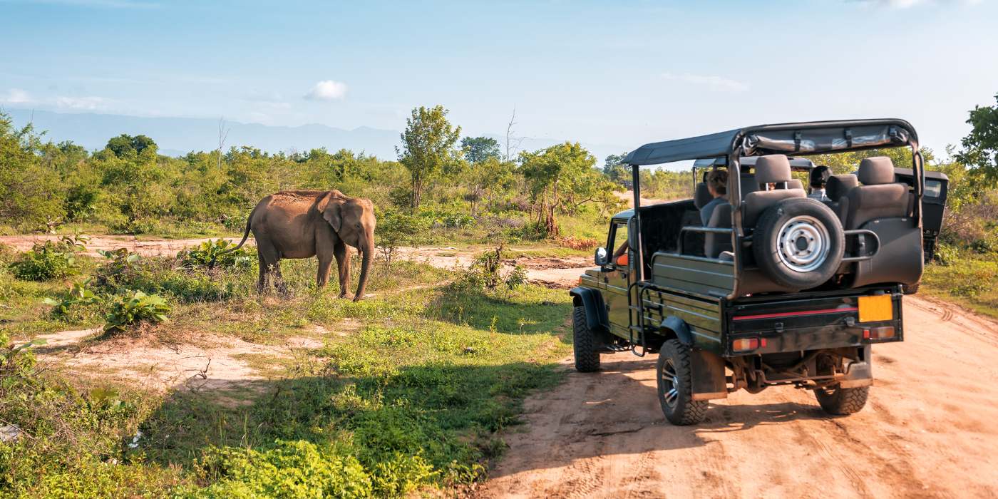 Explore the Best National Parks in Sri Lanka: A Complete Travel Guide