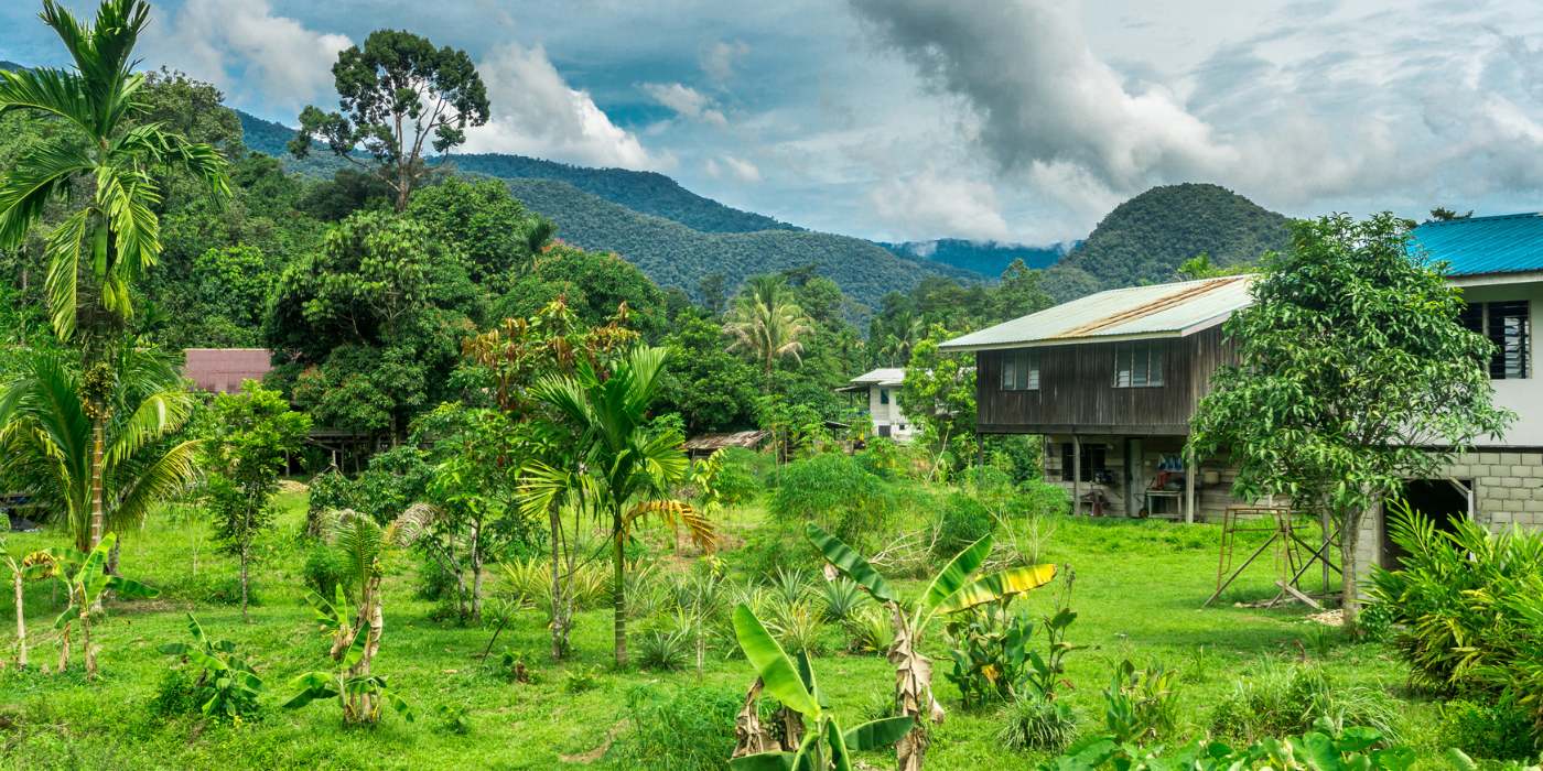 Which Part of Borneo to Visit: Malaysia, Indonesia, or Brunei?