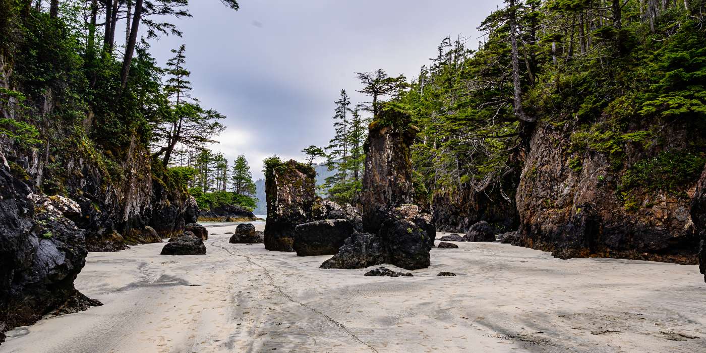 Explore the Hidden Trails of Cape Scott Provincial Park in 4 Days