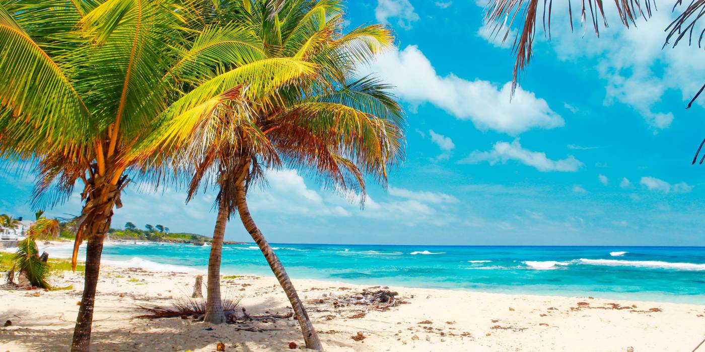 Top Things to See & Do in Jamaica: A Travel Guide with Island Flavor