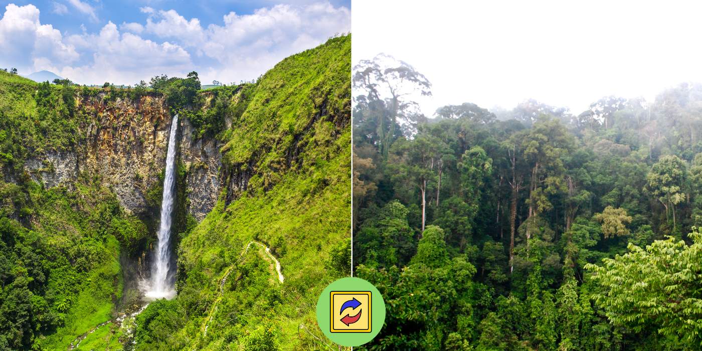 Borneo vs. Sumatra: Choosing Your Perfect Island Experience