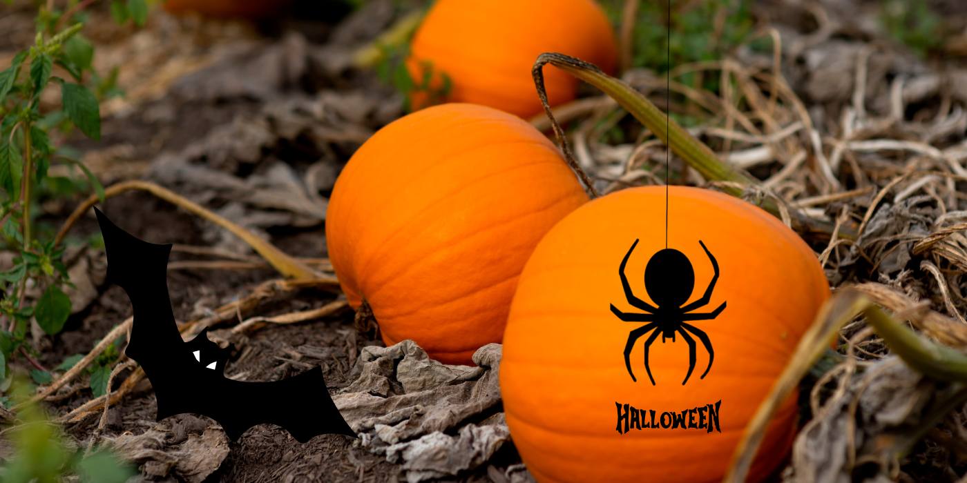 Victoria BC Halloween 2025: Best Events, Attractions & Festivals