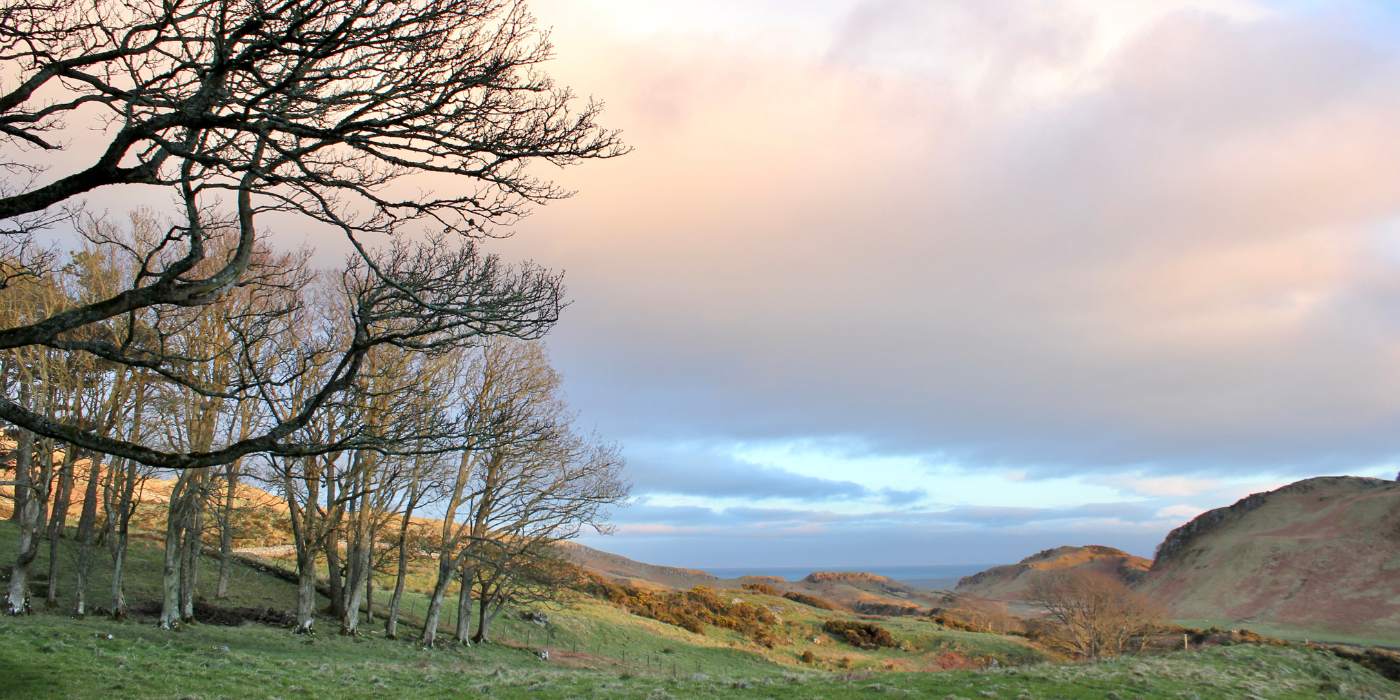 A Day on the Isle of Bute: West Island Way Walk & Mount Stuart Visit