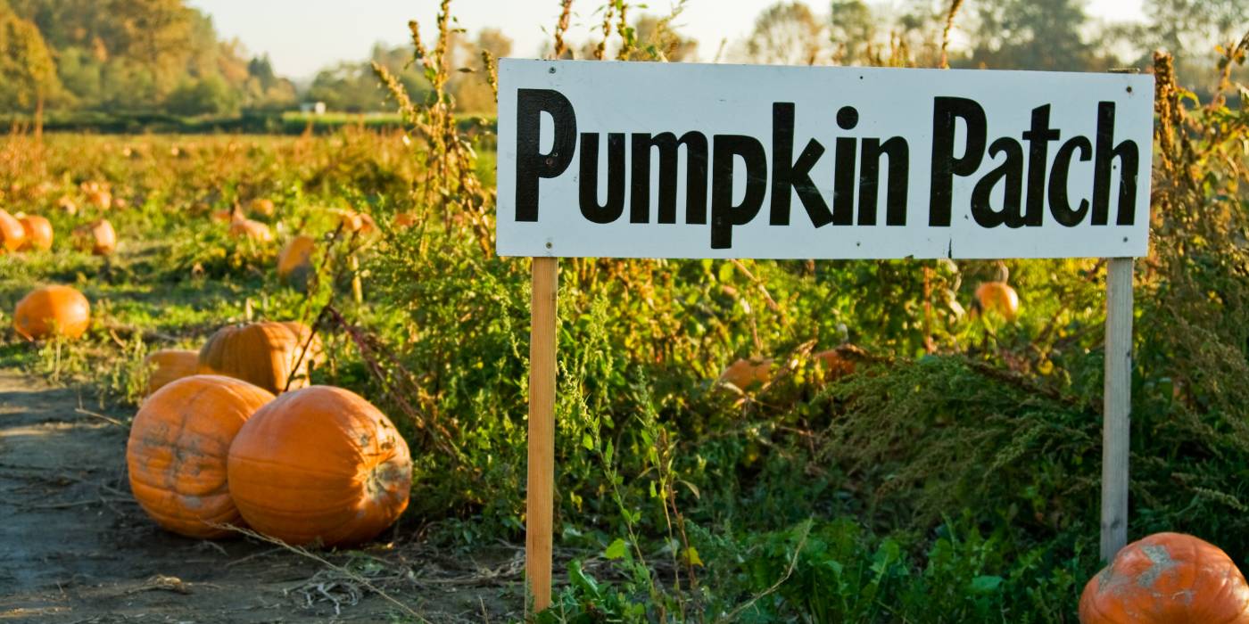 Hilton Head Island Pumpkin Patches 2025: Events, Dates & Tickets