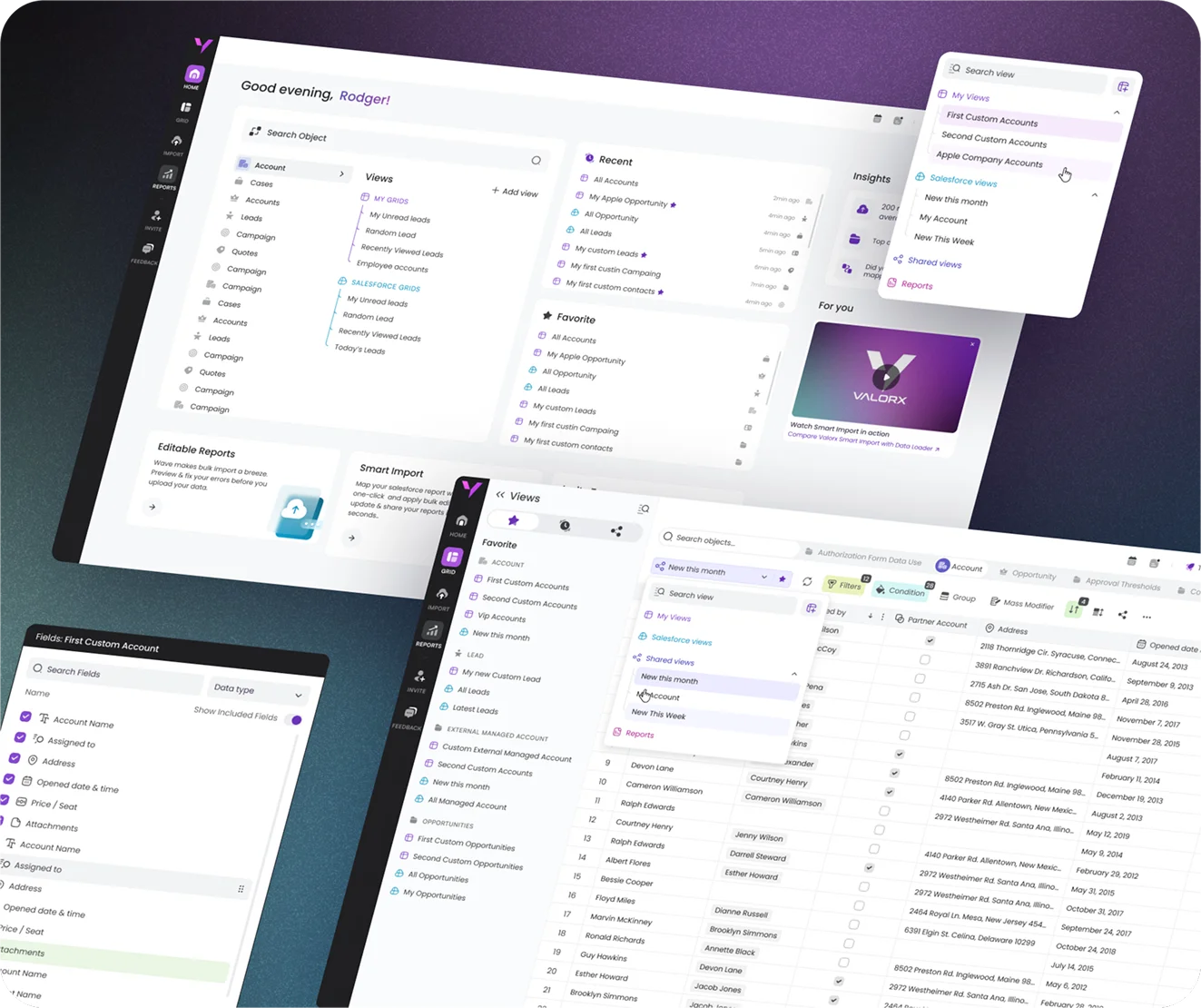 Preview of the Valorx web and product design project — Salesforce-integrated tools for data management and Excel syncing