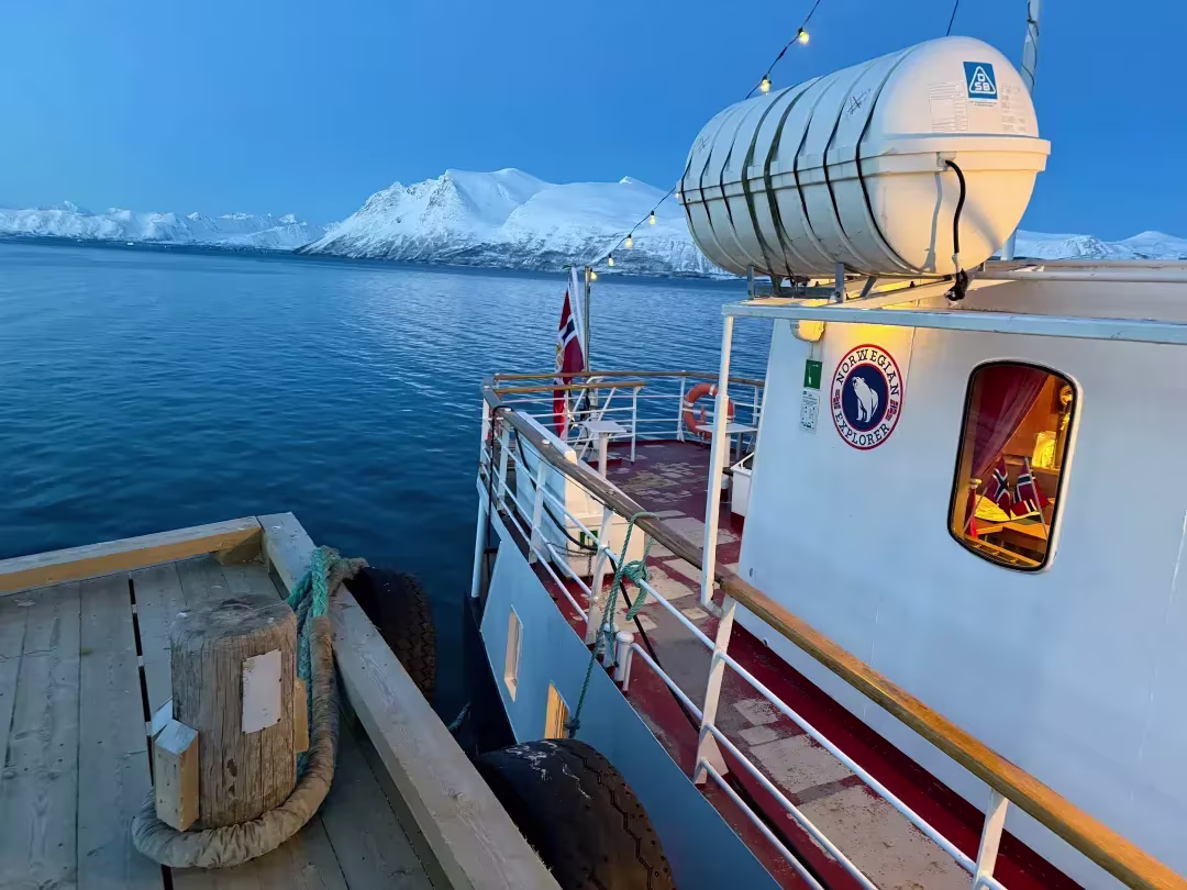 Image of Cruise 