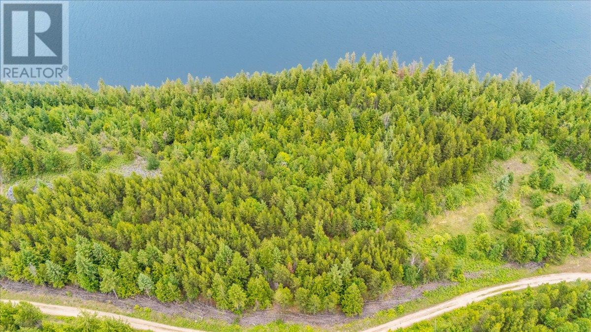 Coykendahl dirt road system down to the various lots.  Large elevation changes.  4WD a must.