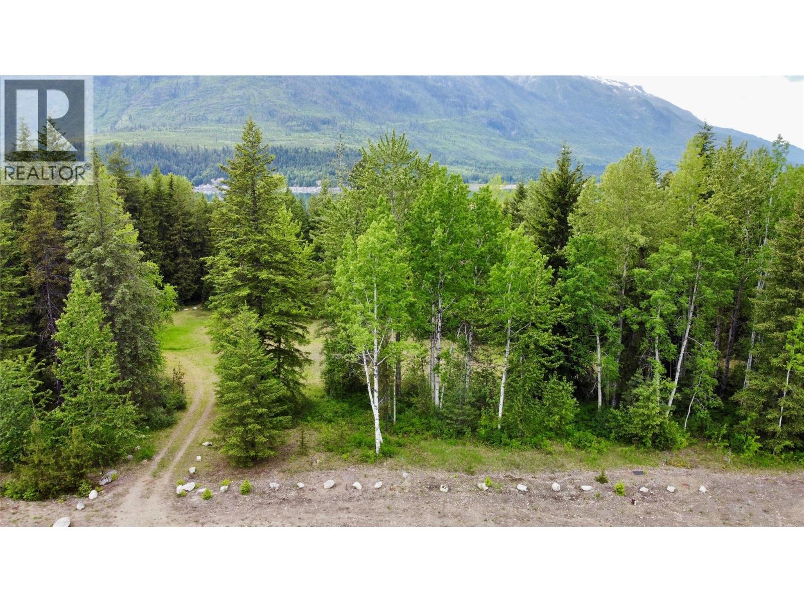 Incredible opportunity for someone that wants a large land holding or that wants to subdivide and develop