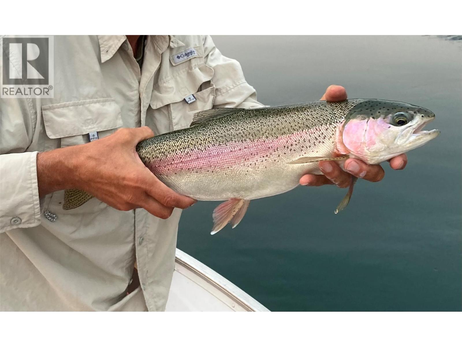 Trout fishing on the Kootenay