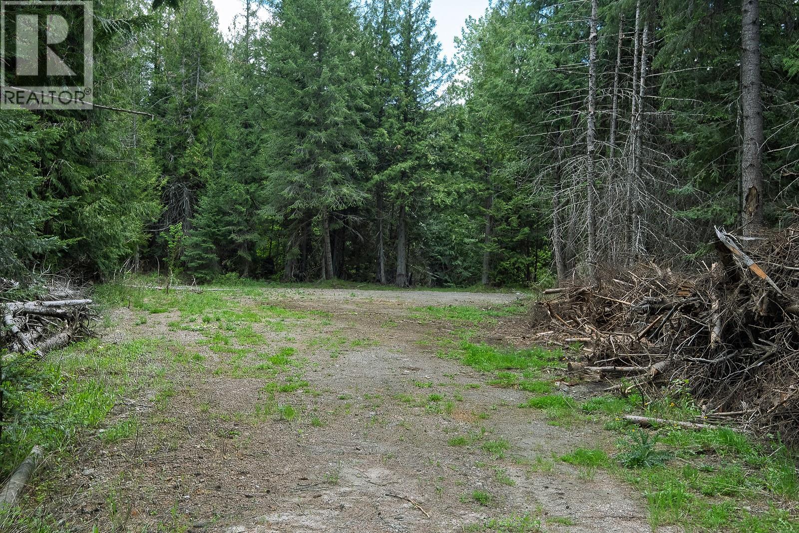 Road to camp spot along the creek.