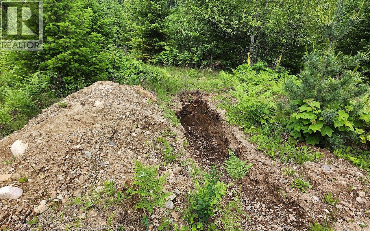 Proposed 13 lot bare-land strata fully perc tested for septic infrastructure.