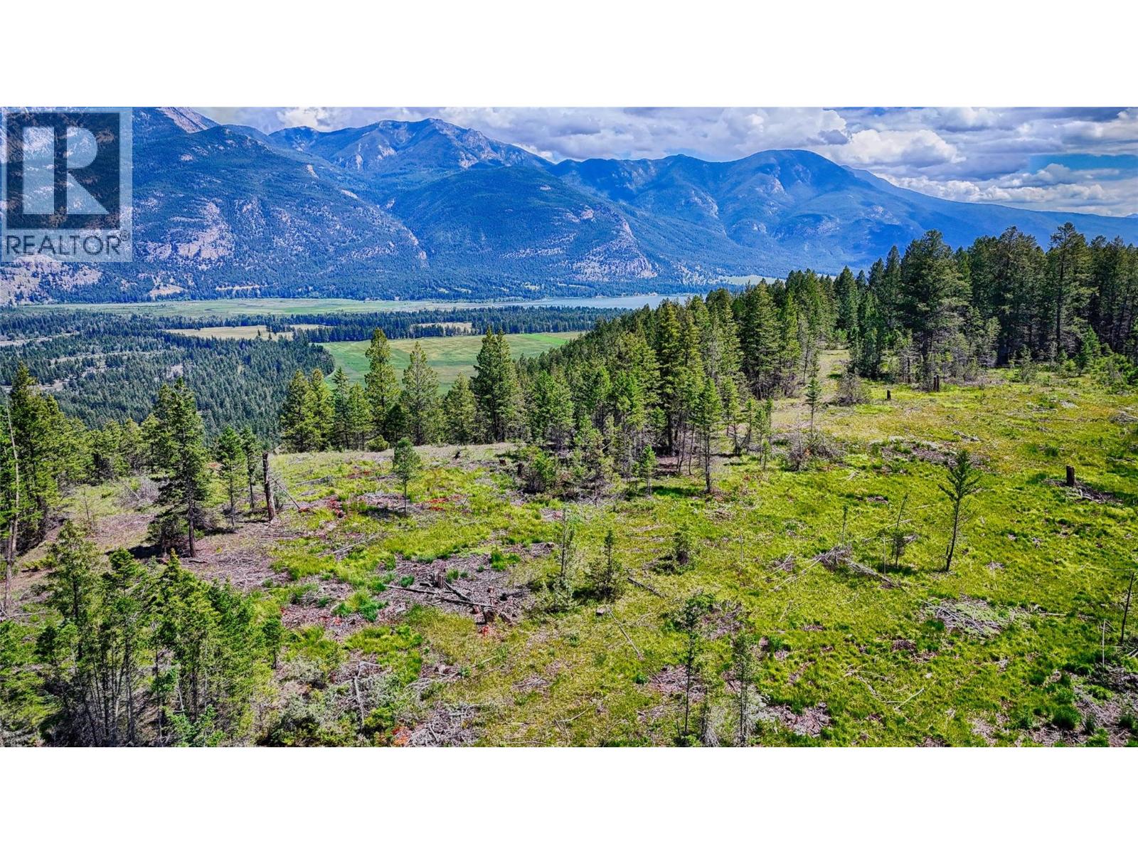 Views of Columbia Lake from the upper bench