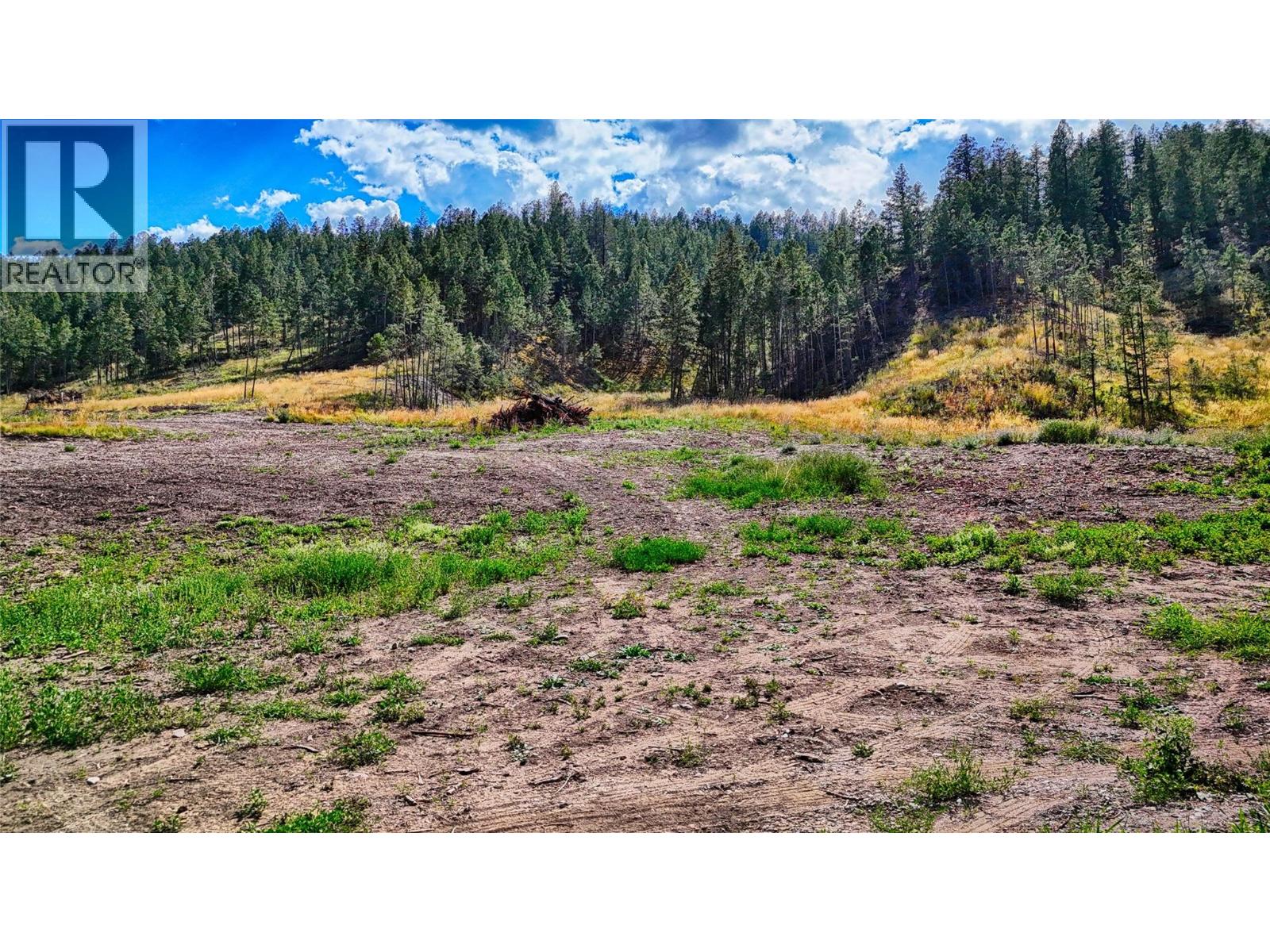 Cleared area on the Southeast side of the property, perfect for keeping animals.