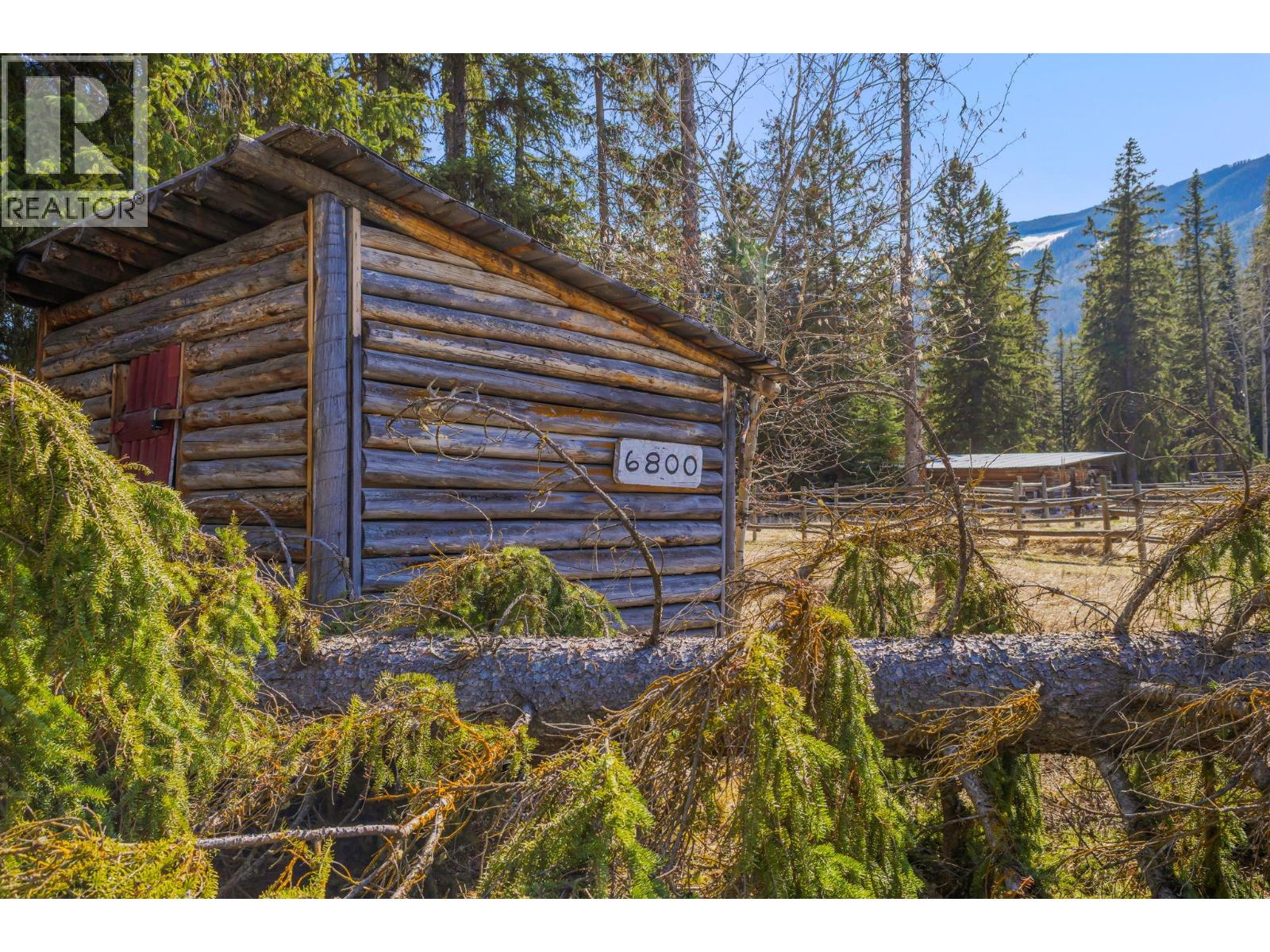 Historic ranch structures tucked into the forest