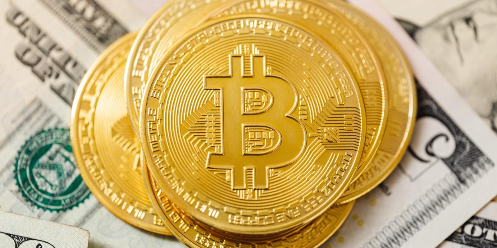 The bitcoin fad – successfully understanding trends vs fads