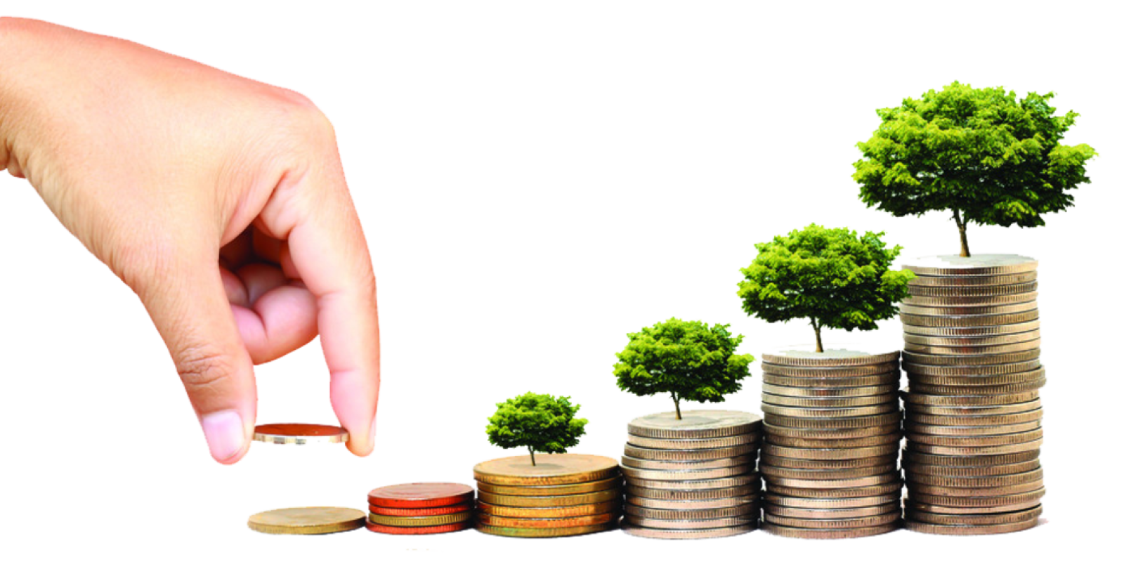 Grow Like (the) Amazon to Succeed – Invest Outside Your “core”