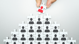 Organization Z, Not Genaration Z