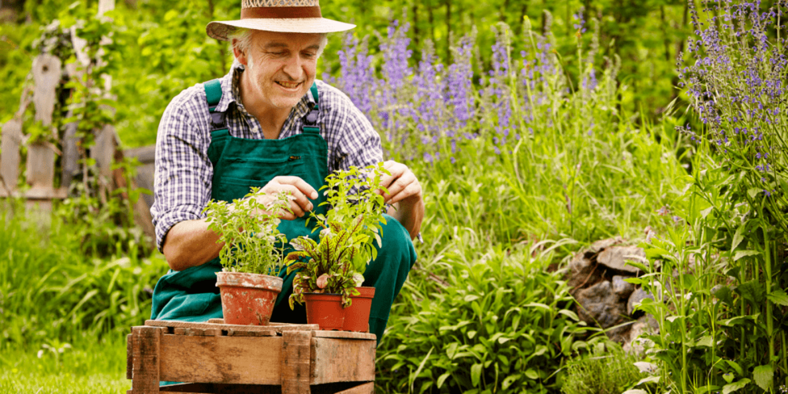 Turning Desert Heat into Gardens of Nourishment