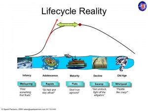 lifecycle slide