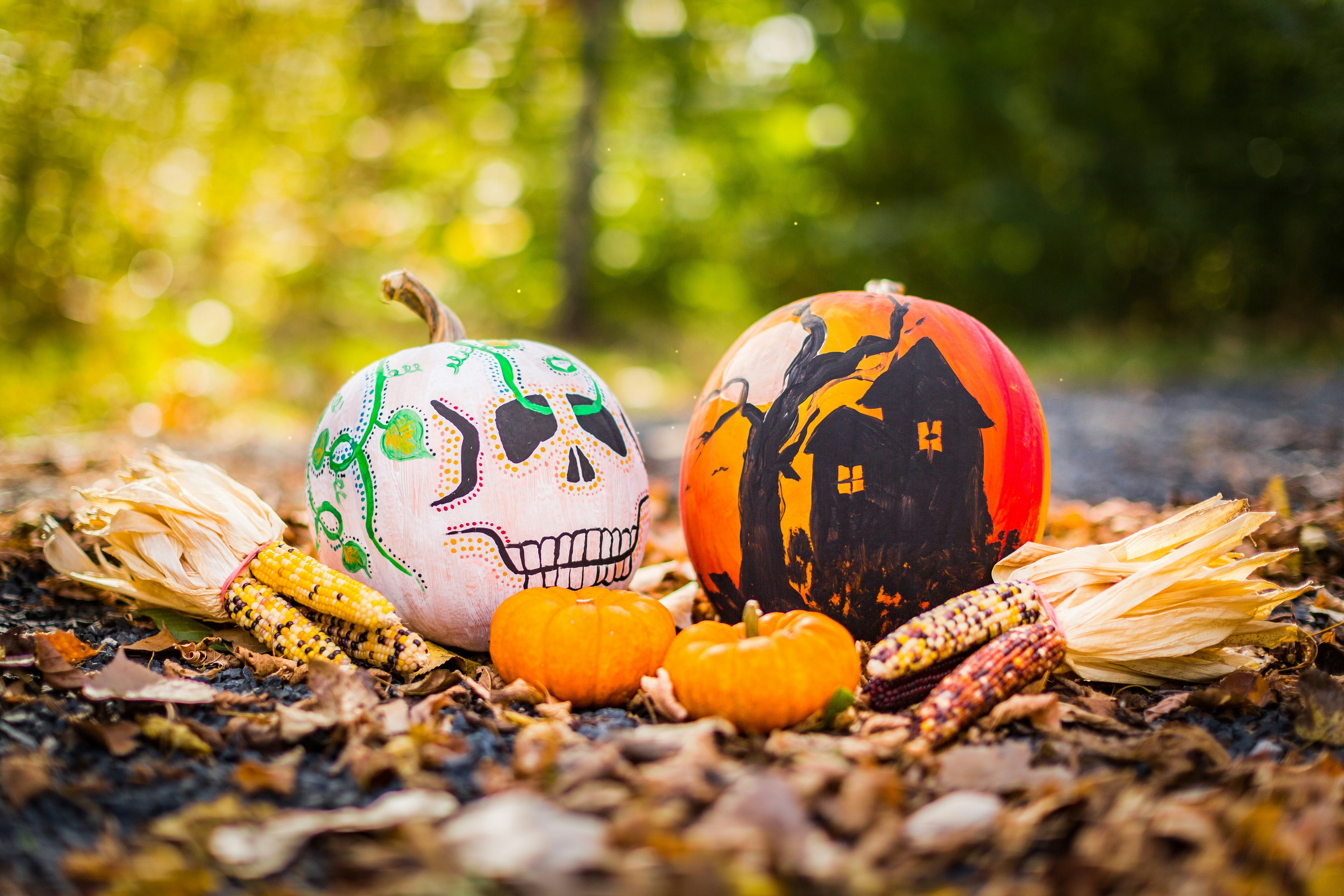 Painted pumpkins