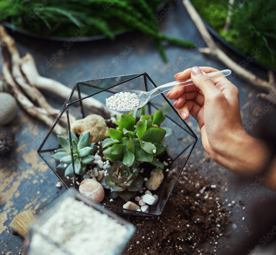 terrarium workshop