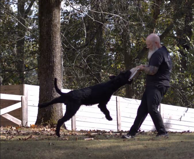 A man with a beard playing tug-of-war with a black dog outdoors near a wooden fence and trees.