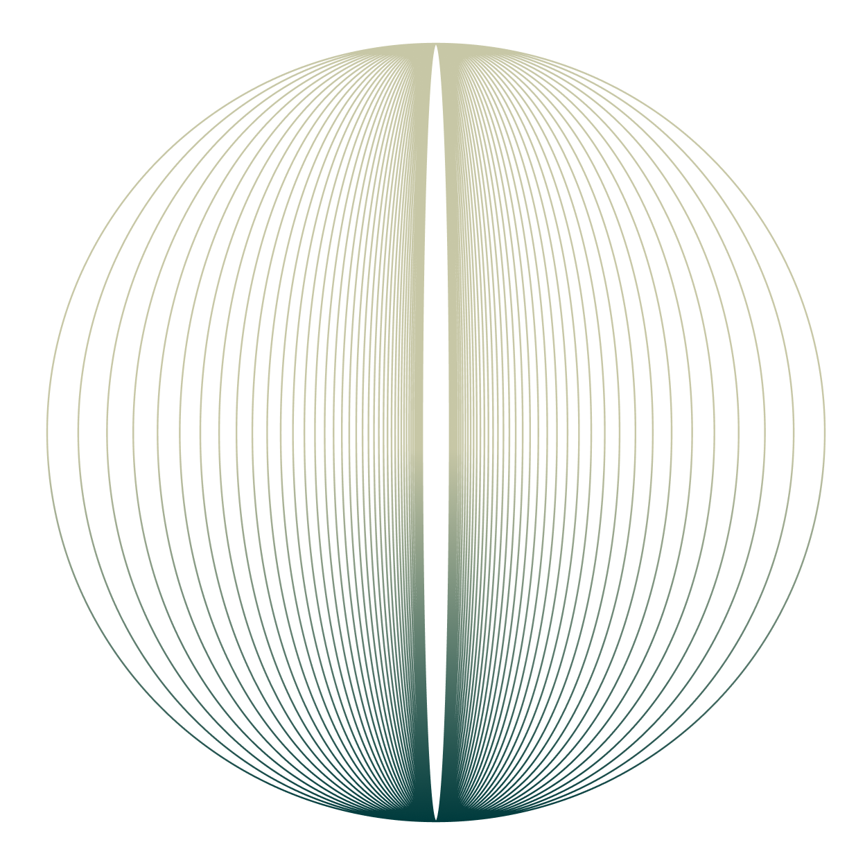 Service 01 Circle