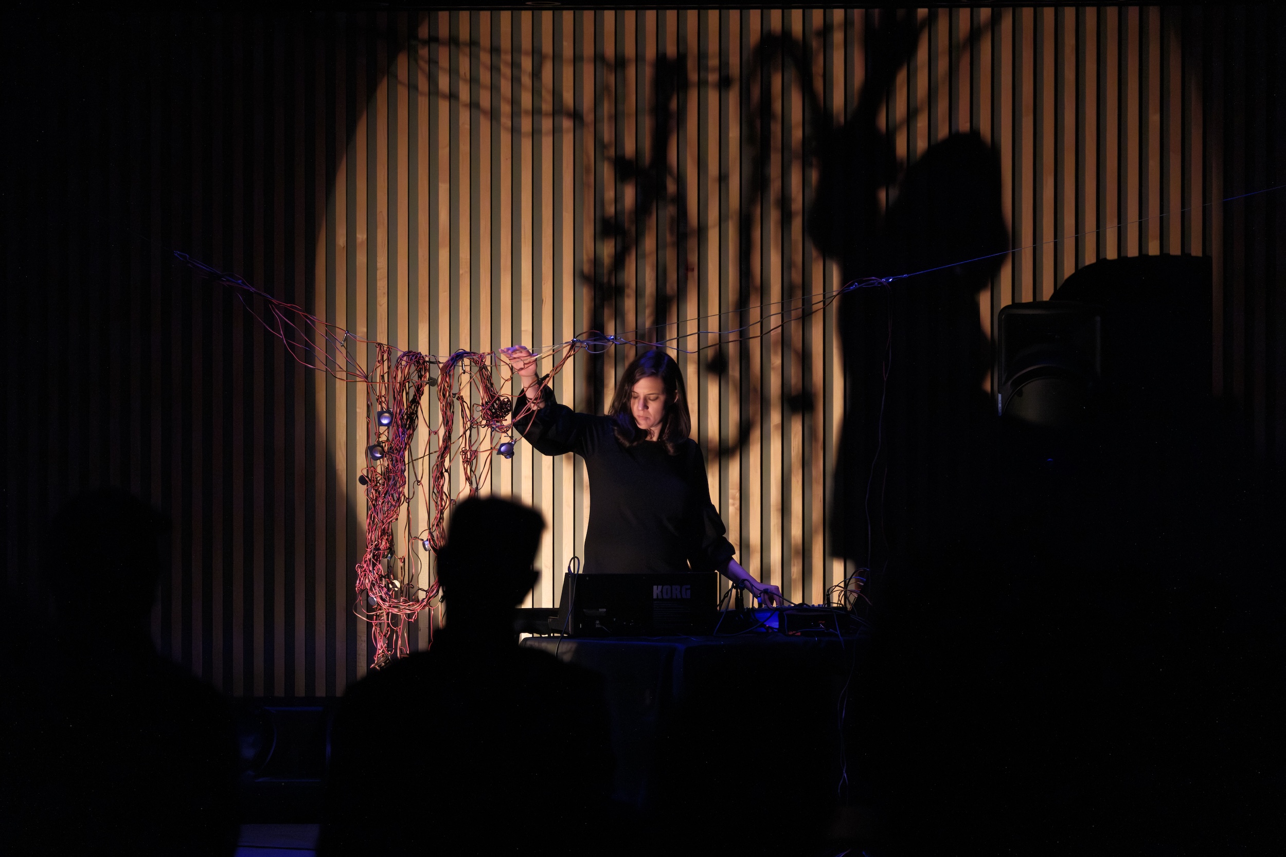 Cecilia Lopez operates electronic music equipment on stage, with cables and a large shadow projected on a ribbed wall behind them; audience silhouettes are in the foreground.