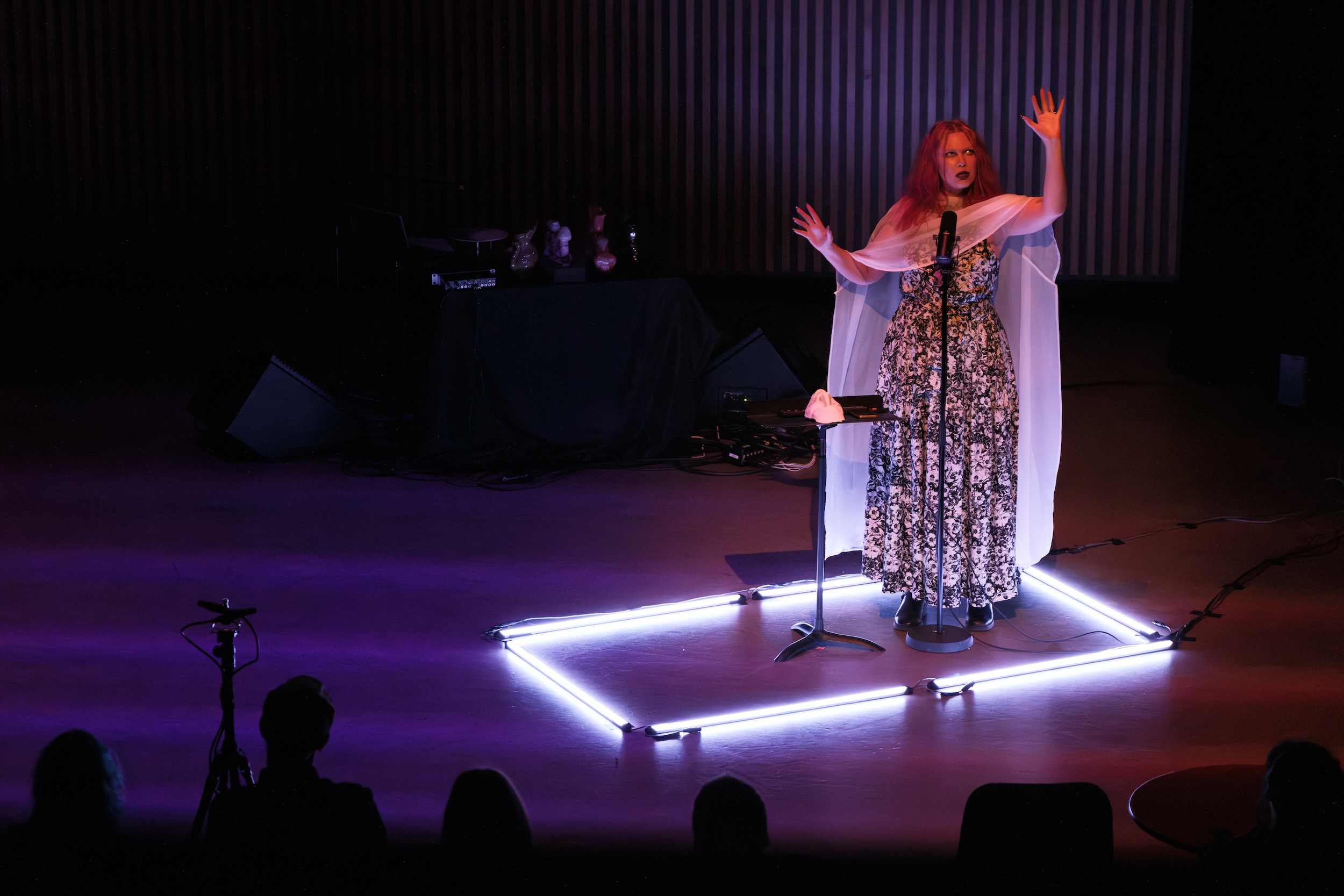 Erin Gee in a floral dress performs dramatically on stage, standing inside a square of white lights, with a microphone and music stand in front of her.