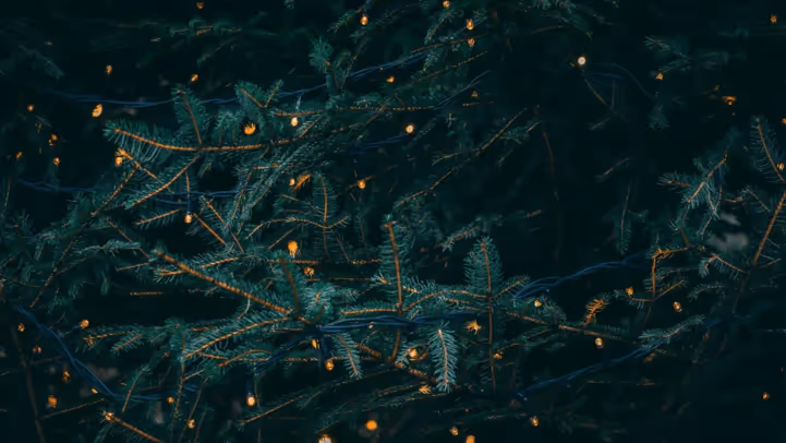 All I Want for Christmas is a Real Data Fabric