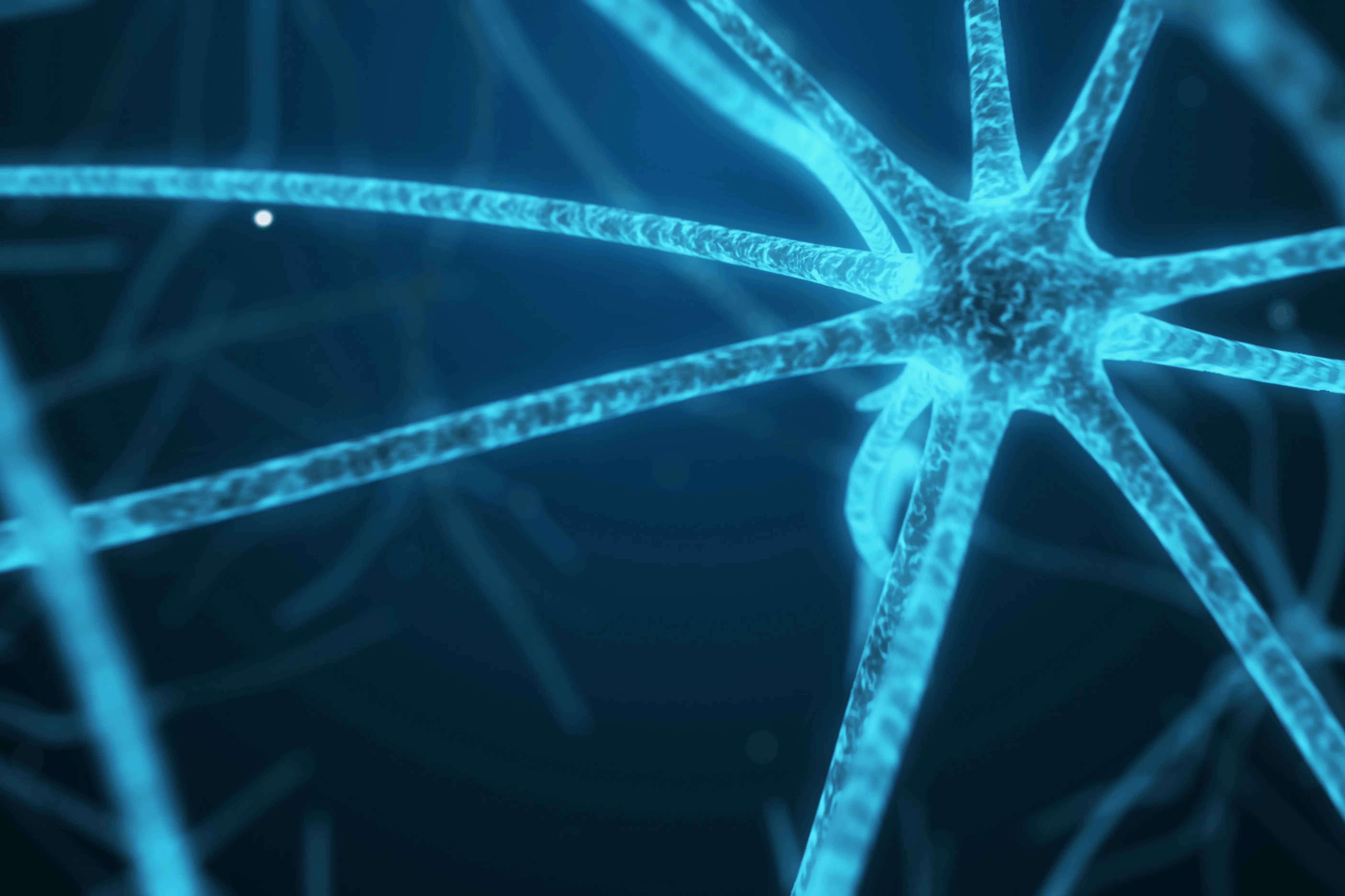 The Semantic Layer and Governance a “Company Brain” Needs