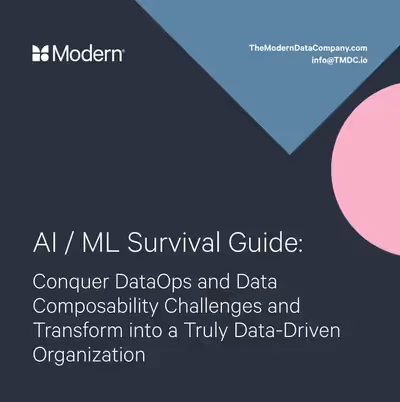 AI / ML Survival Guide: Conquer DataOps and Data Composability Challenges and Transform into a Truly Data-Driven Organization