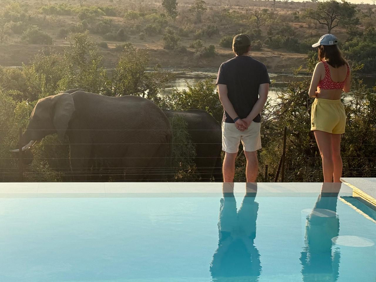 Mjejane guests view elephants from deck