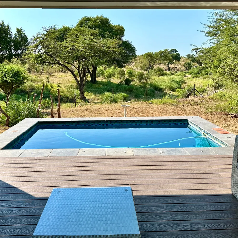 Lodge pool with sweeping views of Mjejane bush