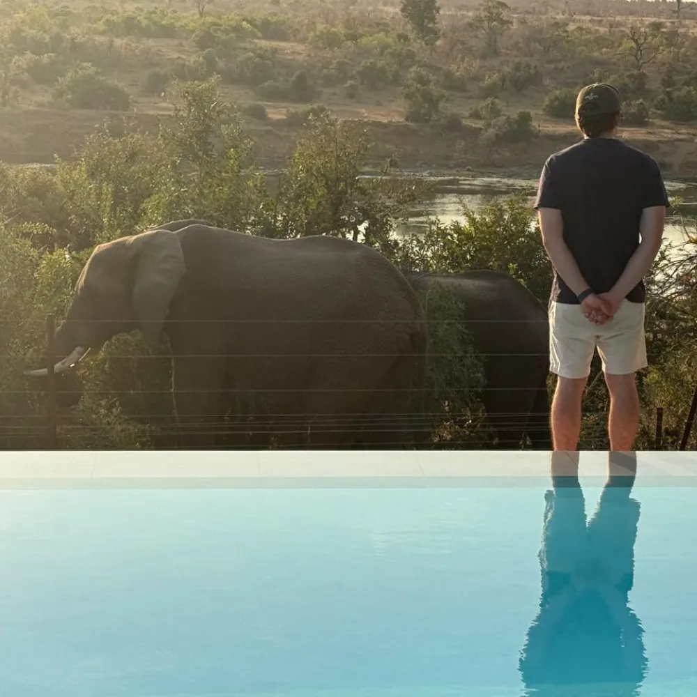 Wildlife watching from Mjejane lodge
